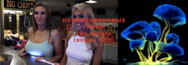 крисы Аркадак