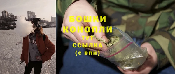 крисы Аркадак