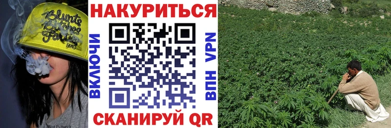 МАРИХУАНА Ganja  Кологрив 